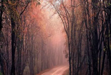 [高尔夫]球员锦标赛麦克罗伊轻松战胜斯鲍 赢美巡第28冠.