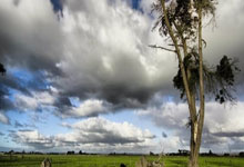 MK体育：贝隆：喜欢罗韦拉和贡多齐 扎卡尼很有天赋.