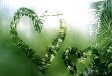 MK体育：上观：伊万搞滕哈格式“赛后逆转”，华丽狡辩难掩甩锅本质.