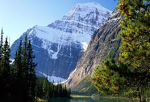 MK体育：南京赛场上演“栏王”比拼 刘俊茜、吴艳妮分别夺得男、女60米栏冠军中国新闻网.